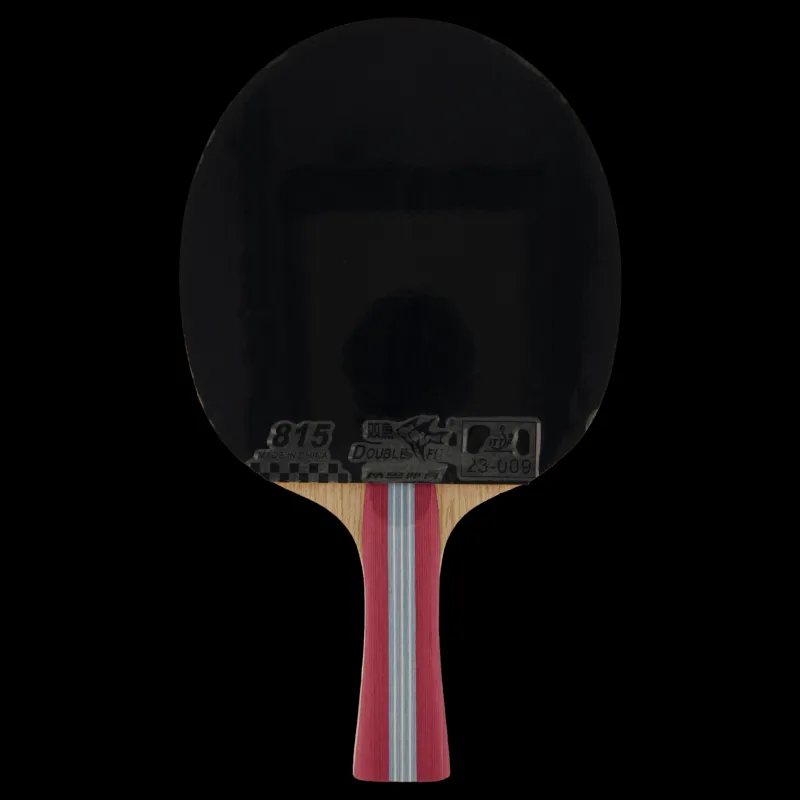 Best Double Fish 1a+ Table Tennis Racket Röd