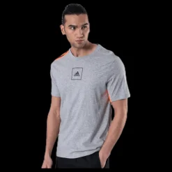adidas Aac Tee Grey Grå Best