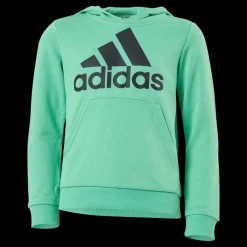 Hot adidas Boys Essentials Big Logo Hoodie Semi Screaming Green / Black Grön