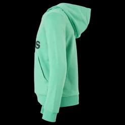 Hot adidas Boys Essentials Big Logo Hoodie Semi Screaming Green / Black Grön
