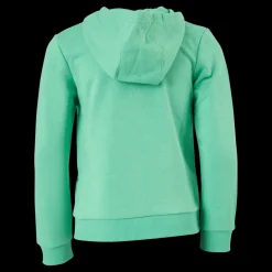 Hot adidas Boys Essentials Big Logo Hoodie Semi Screaming Green / Black Grön