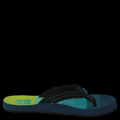 Reef Ahi Aqua/Green Turkos och Blå New