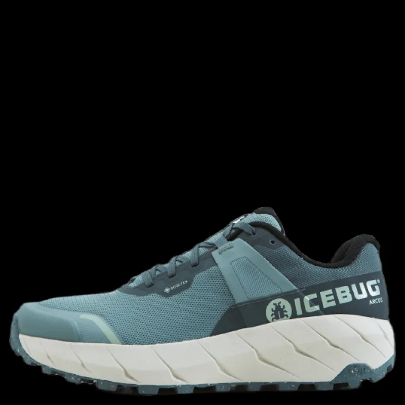 Icebug Arcus M Rb9x Gtx Green/stone Flerfärgad Outlet