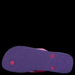 Online Havaianas Brasil Fresh Pink/Purple Rosa och Lila