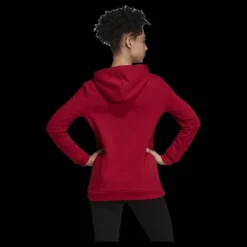 Best adidas Celebrate The 90S Hoodie Red Röd