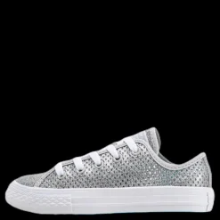 Converse Chuck Taylor All Star Mesh Silver Discount