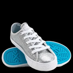 Converse Chuck Taylor All Star Mesh Silver Discount
