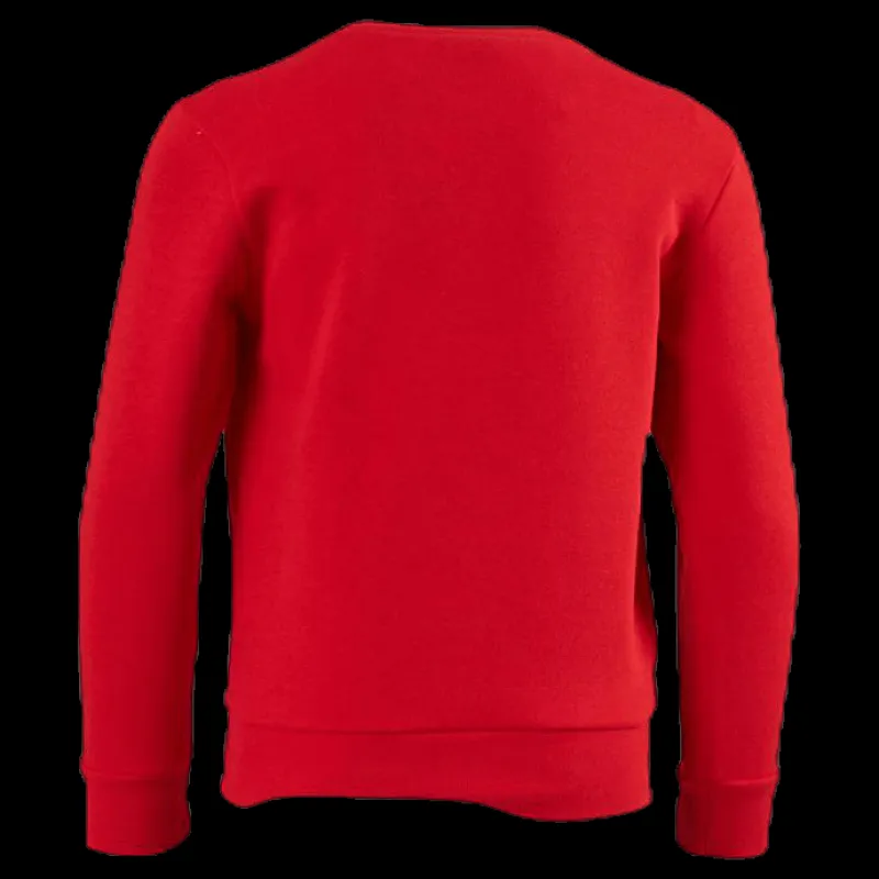 Champion Crewneck Sweatshirt Junior Red Röd Online