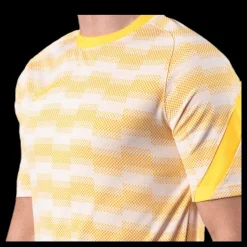Best Nike Dri-FIT Academy SS Grey Flerfärgad
