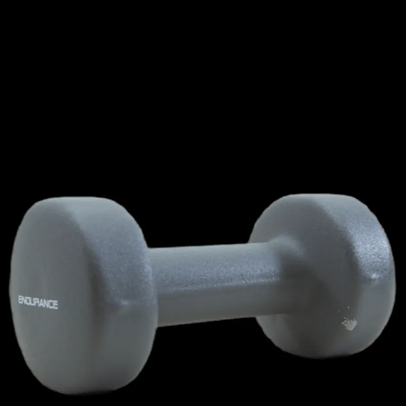 Endurance Dumbbell 4 KG Grey Grå Clearance