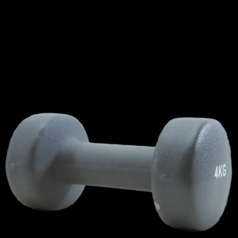 Endurance Dumbbell 4 KG Grey Grå Clearance