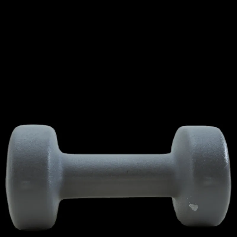 Endurance Dumbbell 4 KG Grey Grå Clearance