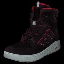 ECCO Urban Snowboarder Fig/teaberry Lila och Svart Online