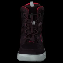 ECCO Urban Snowboarder Fig/teaberry Lila och Svart Online