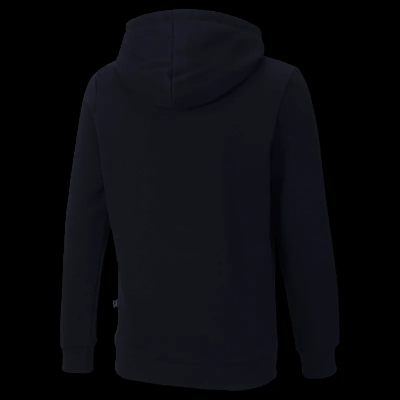 Puma ESS 2 Col Hoody Black Svart
