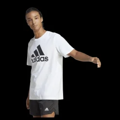 Best adidas Essentials Single Jersey Big Logo T-Shirt White Vit
