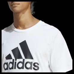 Best adidas Essentials Single Jersey Big Logo T-Shirt White Vit