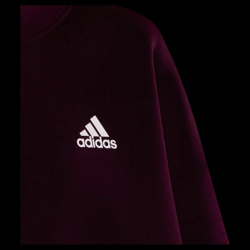 Online adidas G A.R. W Sweat Junior Purple Lila