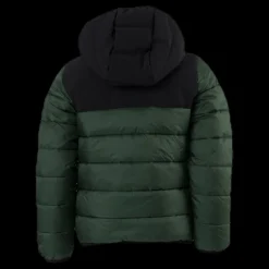 Champion Hooded Jacket Junior Green Grön Online