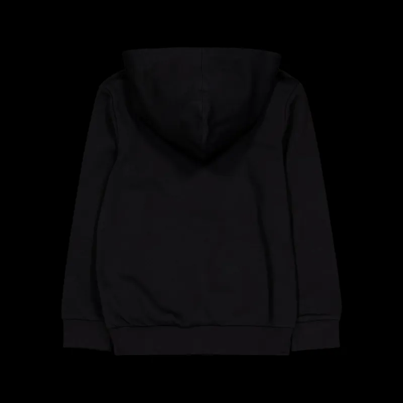 Champion Hooded Sweatshirt Black Beauty Svart