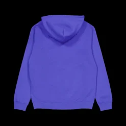 Champion Hooded Sweatshirt Dazzling Blue Lila Outlet