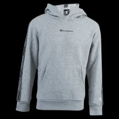 Discount Champion Hooded Sweatshirt Junior Grey Grå