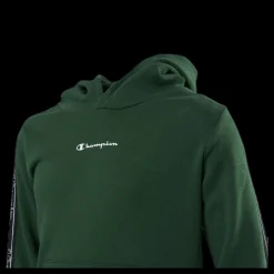 Champion Hooded Sweatshirt Junior Green Grön