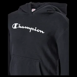 Online Champion Hooded Sweatshirt Kk001 Svart