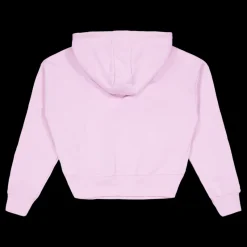 Discount Champion Hooded Sweatshirt Orchid Bouquet Rosa