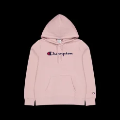 Clearance Champion Hooded Sweatshirt Pale Hauve Rosa