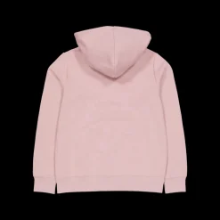 Clearance Champion Hooded Sweatshirt Pale Hauve Rosa