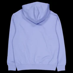 Champion Hooded Sweatshirt Pewter Blue Blå