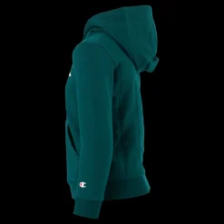 Champion Hooded Sweatshirt Rain Forest Grön Best