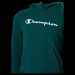 Champion Hooded Sweatshirt Rain Forest Grön Best