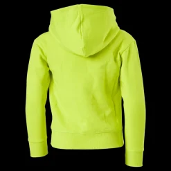 Clearance Champion Hooded Sweatshirt Sulphur Spring Grön