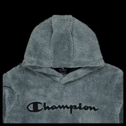 Champion Hooded Top Balsamo Green Grå Sale