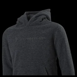 Champion Hooded Top Jr Grey Grå Best