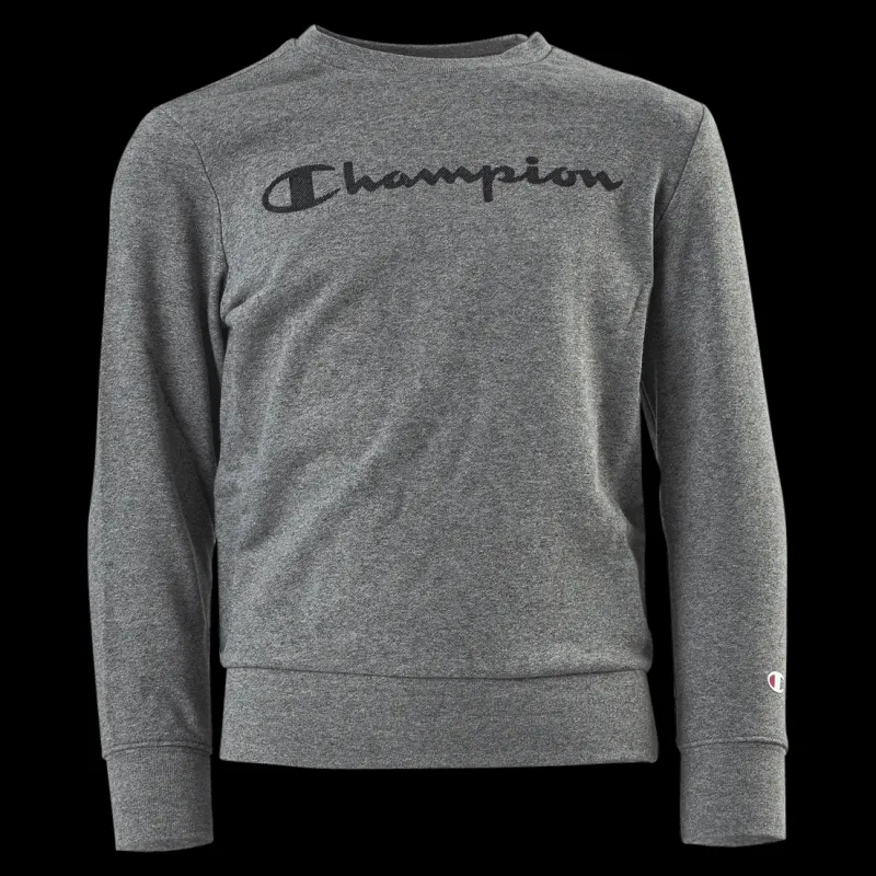 Champion Legacy Crew Junior Grey Grå Outlet