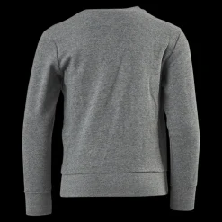 Champion Legacy Crew Junior Grey Grå Outlet