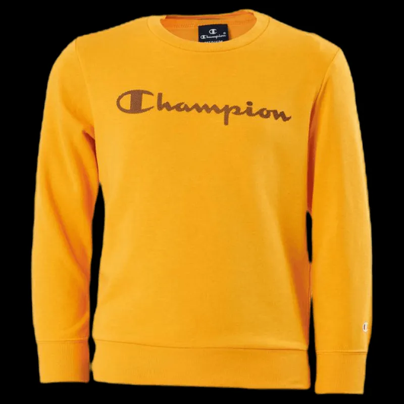 Discount Champion Legacy Crew Junior Orange