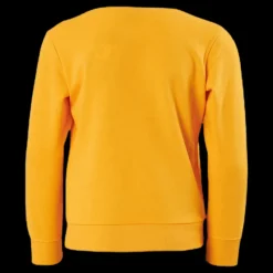 Discount Champion Legacy Crew Junior Orange