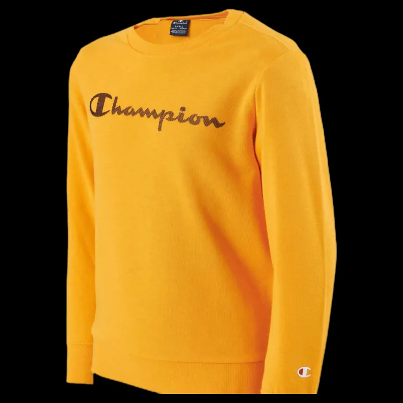 Discount Champion Legacy Crew Junior Orange