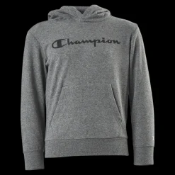 Champion Legacy Hoodie Junior Grey Grå