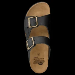 Online Scholl Moldava WG Ad Oiled Svart