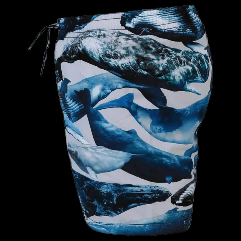 Molo Niko Swim Shorts Blue Blå Clearance