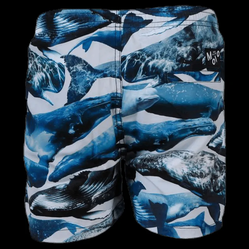 Molo Niko Swim Shorts Blue Blå Clearance