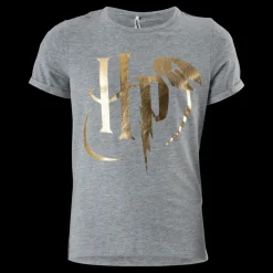 Name It Nkfharrypotter Axa Ss Top Wab Grey Melange Grå Discount