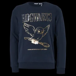 Name It Nkfharrypotter Axine Sweat Bru Dark Sapphire Blå Outlet