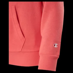 Champion Pastel Hooded Sweatshirt Junior Red Röd