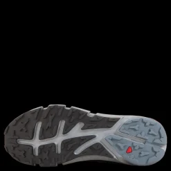 Hot Salomon Predict Hike Gtx Ebony/black/stormy Weather Svart